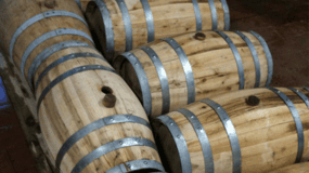 Visita a uma adega boutique e prova de vinhos perto de Arezzo