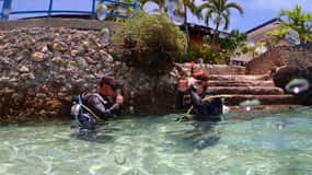 Cebu: Beach Scuba Diving Experience