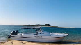 Mozambique: Inhaca, Santa Maria, and Portuguese Islands Tour