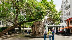 Visita à Catedral de Colónia e à Cidade Velha com 1 Kölsch