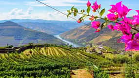 Do Porto: Douro e Amarante - Tour em pequenos grupos