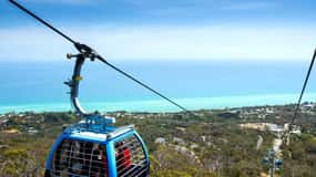 Melbourne: Mornington Peninsula Private Trip include tickets
