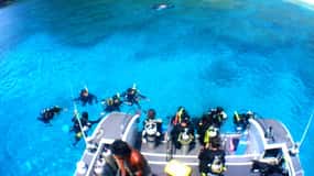 Okinawa: From Naha: Kerama Islands 1-day snorkeling tour