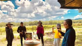 Tour "Parras de la Fuente", mit Guide, Transfer und Tickets