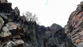 Salt Lake City: Best Canyons Private Day Tour
