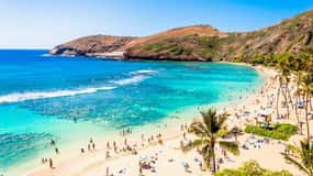 Oahu : Hanauma Bay Reservation+Equipment Rental