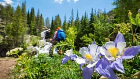 Breckenridge, CO: Half-Day Guided Scenic Hike