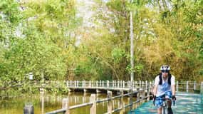 Bangkok: Khlong Toei Market & Bang Krachao Island Bike Tour