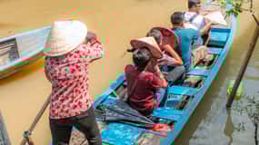 From Ho Chi Minh: Mekong Delta Tour with Lunch