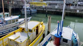 Fisherman's Wharf: Tour guidato a piedi e opzione crociera sul Golden Gate