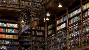 München: Geführte Besichtigung der juristischen Bibliothek mit Eintrittskarten