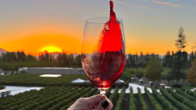 Vinarija zalaska sunca obitelji Alyan