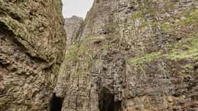 Vestmanna Bird Cliffs, Leynar, and Kvívík Tour