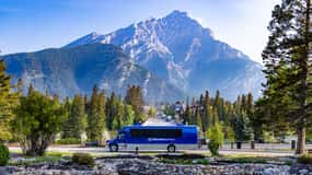 Banff: Wildlife and Sightseeing Minibus Tour