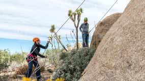 Joshua Tree National Park: Private Rock Climbing Trip
