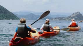 Skadar Lake: 4-Hour Guided tours on Kayak