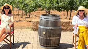 Piccolo gruppo - Tour esclusivo dell'olio d'oliva e del vino a Maiorca