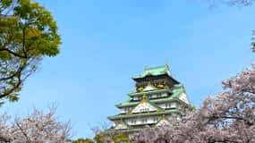 Osaka : visite guidée de 3 heures du château et du musée historique d'Osaka