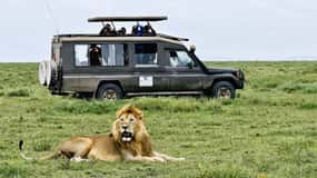 Zanzibar: 2-Day Private Magical Ngorongoro Crater Safari