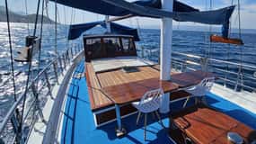 Krilo Jesenice/Omiš/Podstrana: passeios diários de barco