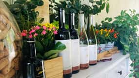 Lucca - Cata de vinos naturales en Tenuta Mareli