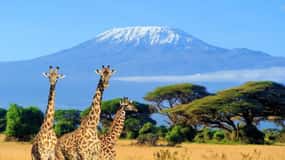 Nairobi: Amboseli National Park Group Day Tour