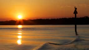 Hilton Head: crucero al atardecer con delfines y vistas panorámicas