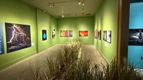 Santa Monica Art Museum: Generel adgangsbillet