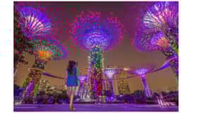 Cruzeiro pelo rio Singapura, Spectra e espetáculo de luzes Garden Rhapsody