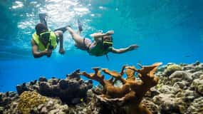 Cruzeiro em catamarã e mergulho com snorkel a partir de Montego Bay