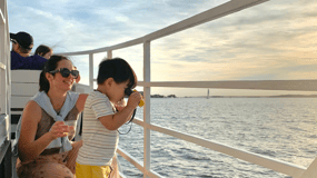 Hilton Head Island: crucero por el océano con delfines