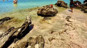 Tour privato di un'intera giornata per famiglie alla spiaggia di Elafonisi e ad Agia Sofia