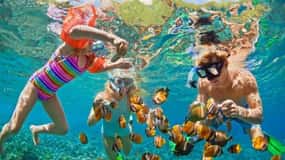 Da Nang: Dagstur med båt til Cham Island med snorkling og lunsj