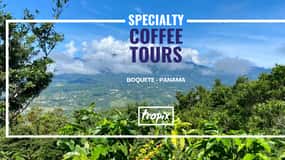 Boquete, Panamá: excursión interactiva de cafés especiales