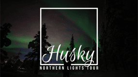 Från Kiruna: Norrskensäventyr med guidad huskykälkåkning