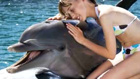 Puerto Plata: Dolphin Encounter at Ocean World