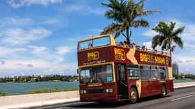 Miami: Everglades Experience, Bay Cruise & Open-top Bus Tour