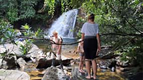 Sinharaja Rainforest Tour