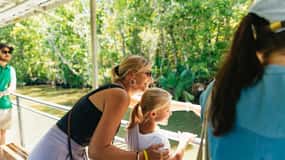New Orleans: Bayou Tour im Jean Lafitte National Park