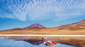 4D/3N SAN PEDRO DE ATACAMA-UYUNI (ROUND TRIP) SHARED SERVICE