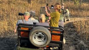 From Kathmandu/Pokhara: 3 - Day Chitwan Safari Tour Package