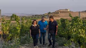 Tasting of EVO Wines and Oil in the countryside of Agrigento