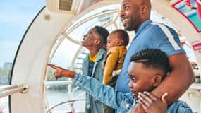 London Sightseeing Flex Pass- London Eye and 40 more options