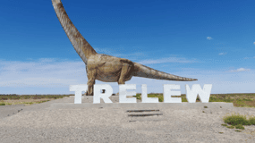 Valley + Paleontological Museum for cruise passengers