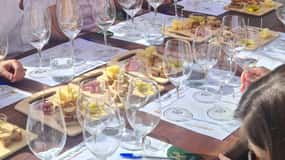 Rhodes: Wine Tasting Experience at a Traditional Farmhouse