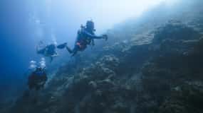 Andaman: Havelock Scuba Diving by PADI 5-Star Dive Center