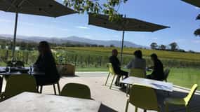 Melbourne: Excursão de carro particular às vinícolas de Yarra Valley