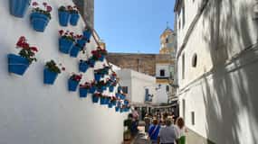 Marbella: Guided, PRIVATE city tour with tapas tasting
