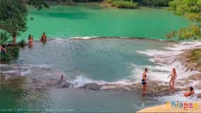 Depuis Palenque : visite des chutes d'eau de Roberto Barrios