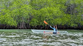 From Lembongan: Kayak/Paddleboard/Boat Mangrove Tour